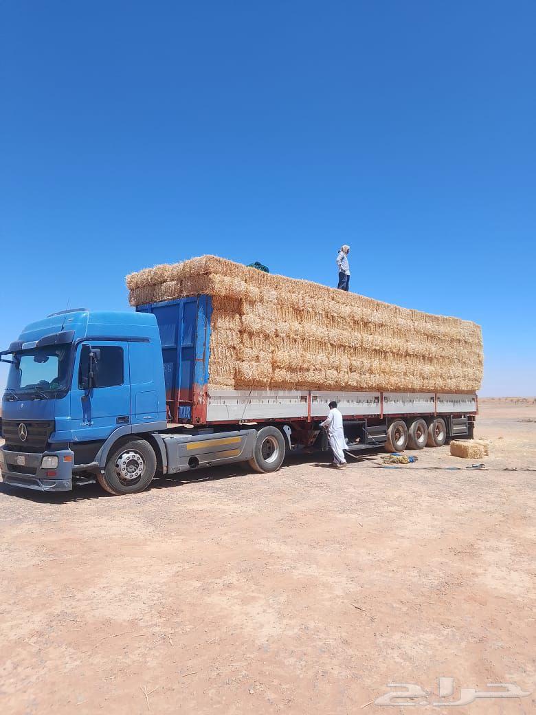 Wheat Straw (Cash on Delivery)64408343673219114