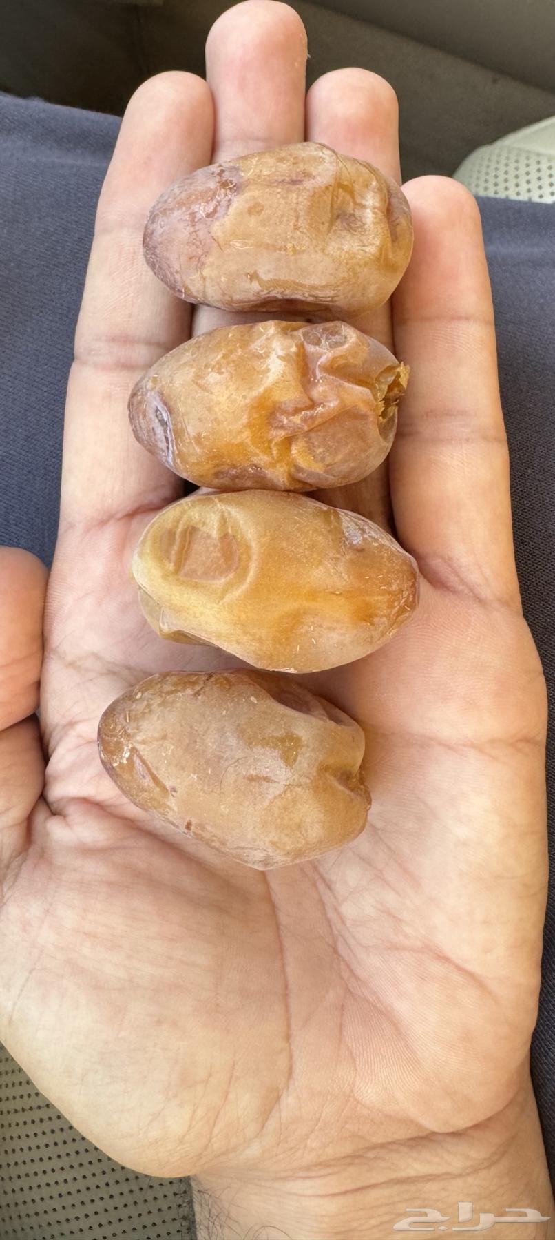 تمر خلاص القصيم فاخر64407238338818110