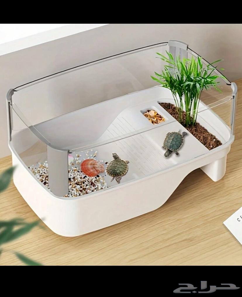 حوض سلحفاء64407084546049110