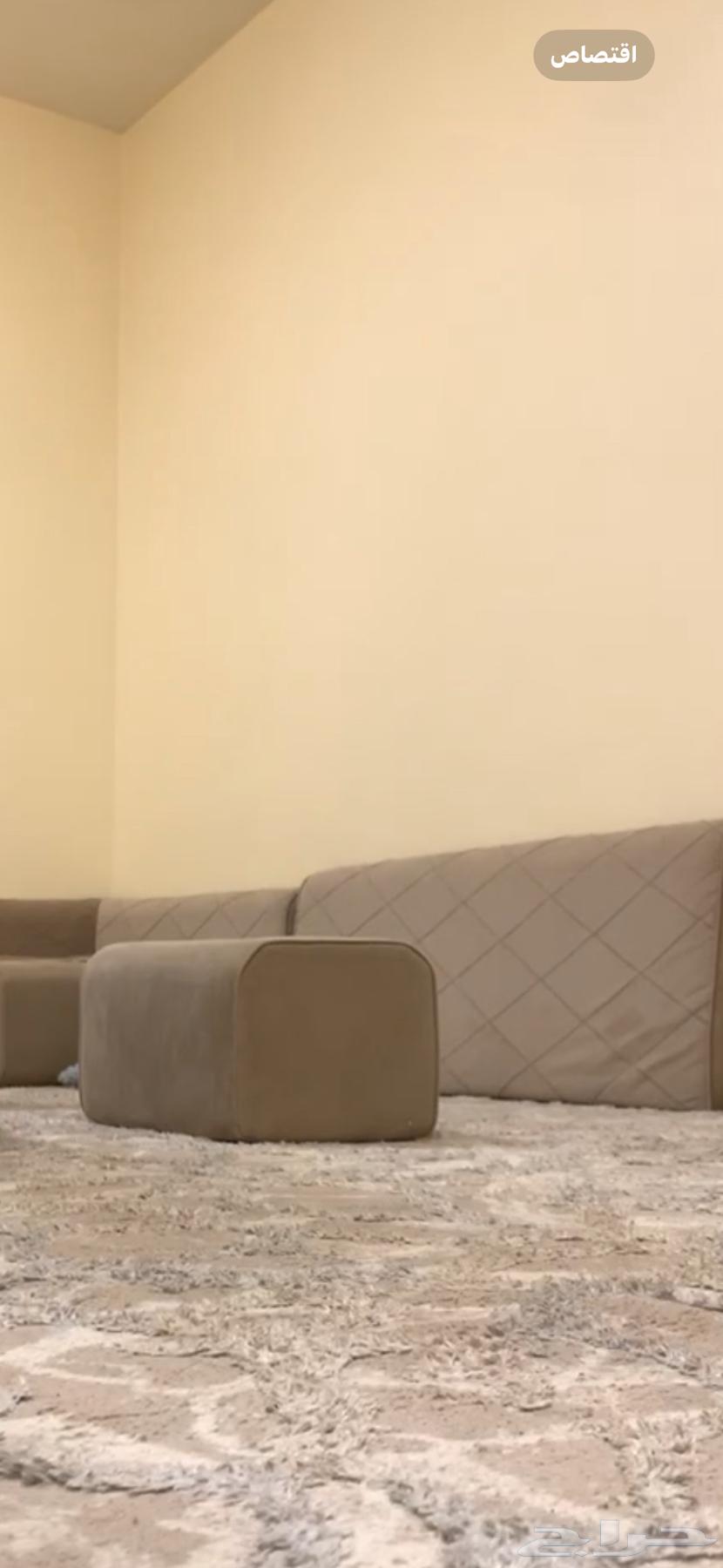 Complete 5 in 4 tweezers64410552302465110