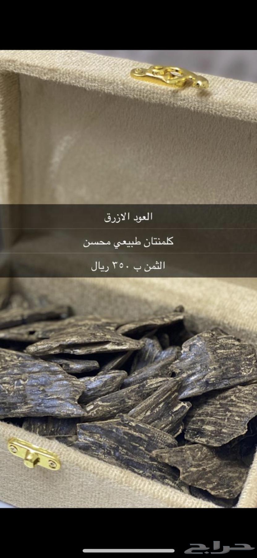 عروض خاصة عود مروكي وكلمنتان64407071069954111