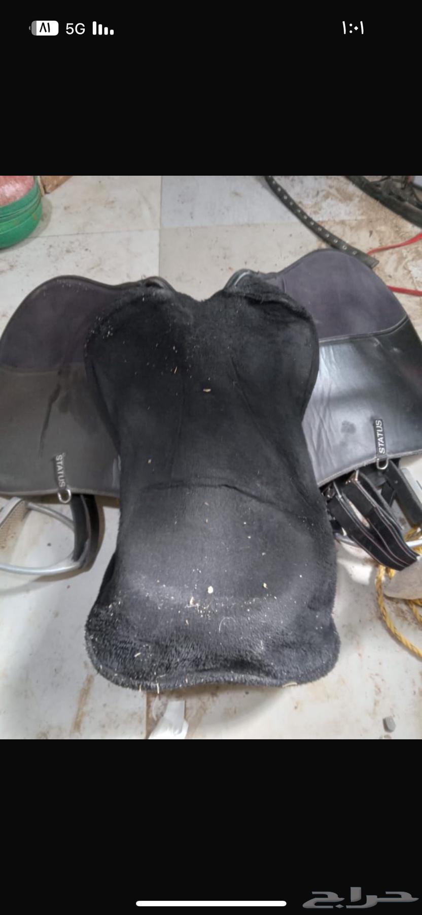 New Status Saddle64406012786689110