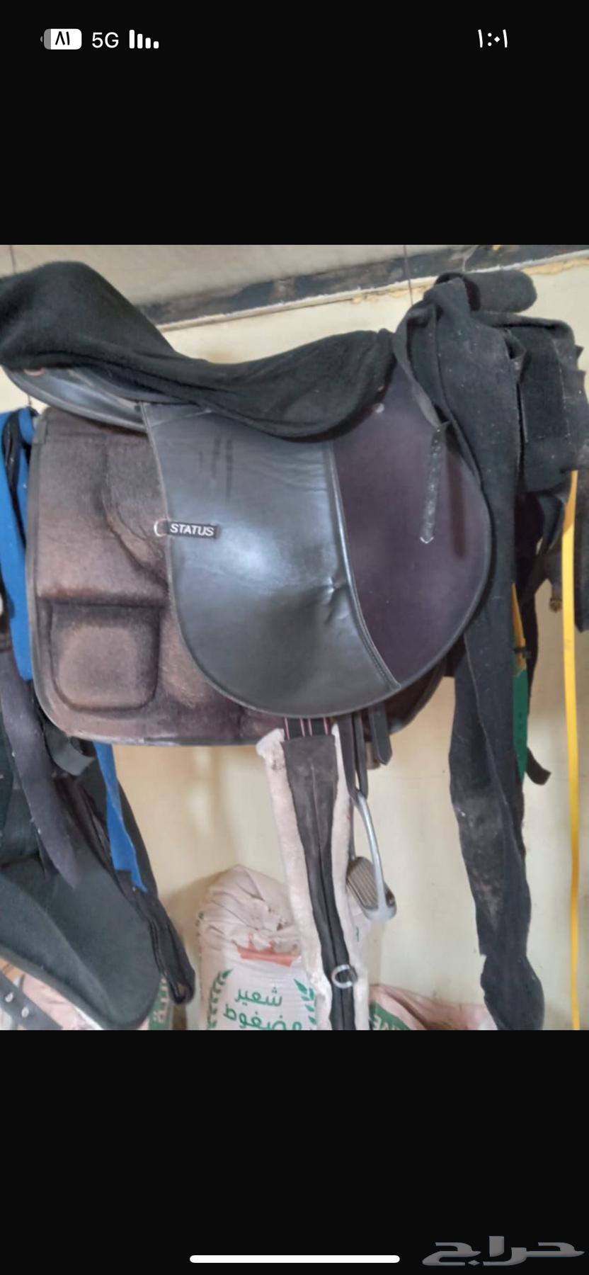 New Status Saddle64406012786689113