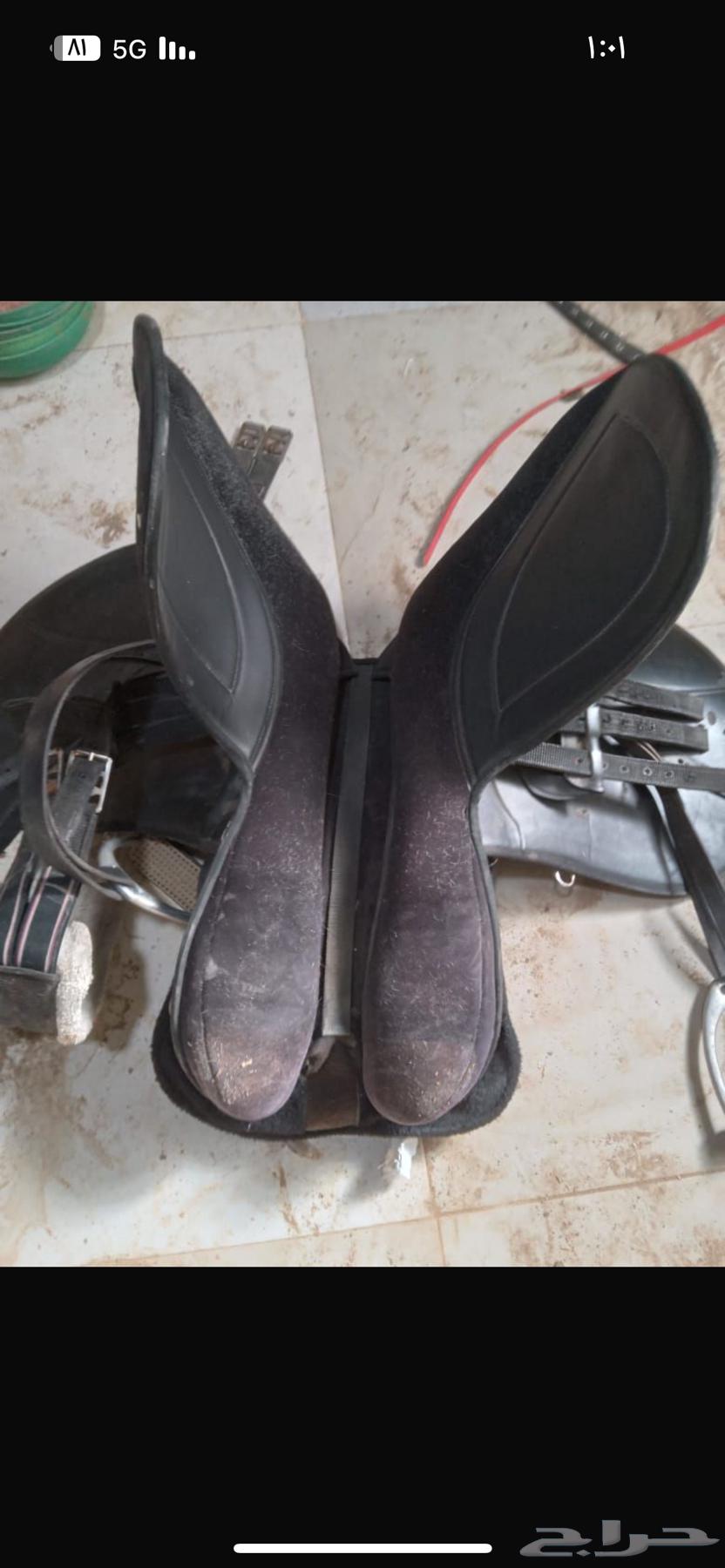 New Status Saddle64406012786689112