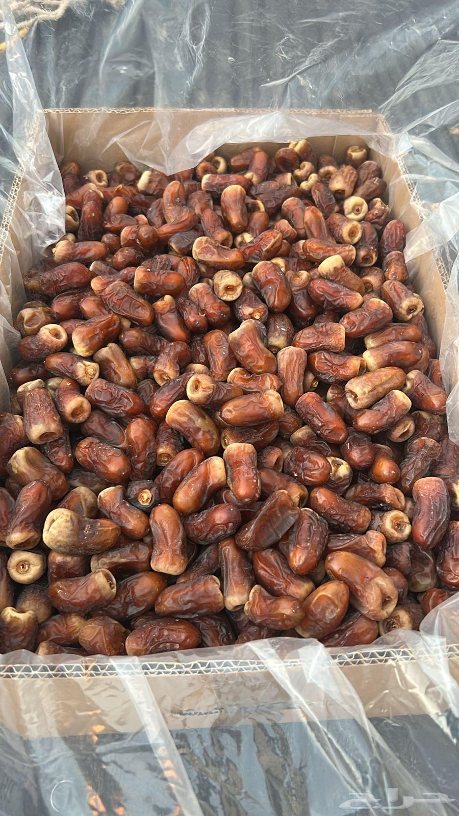 Birni Al-Ayis Dates (Sold)64411270214403110