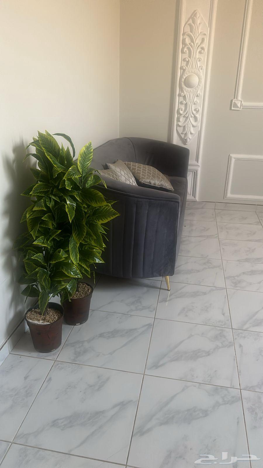 New sofa set with urgent carpet64410421053569111