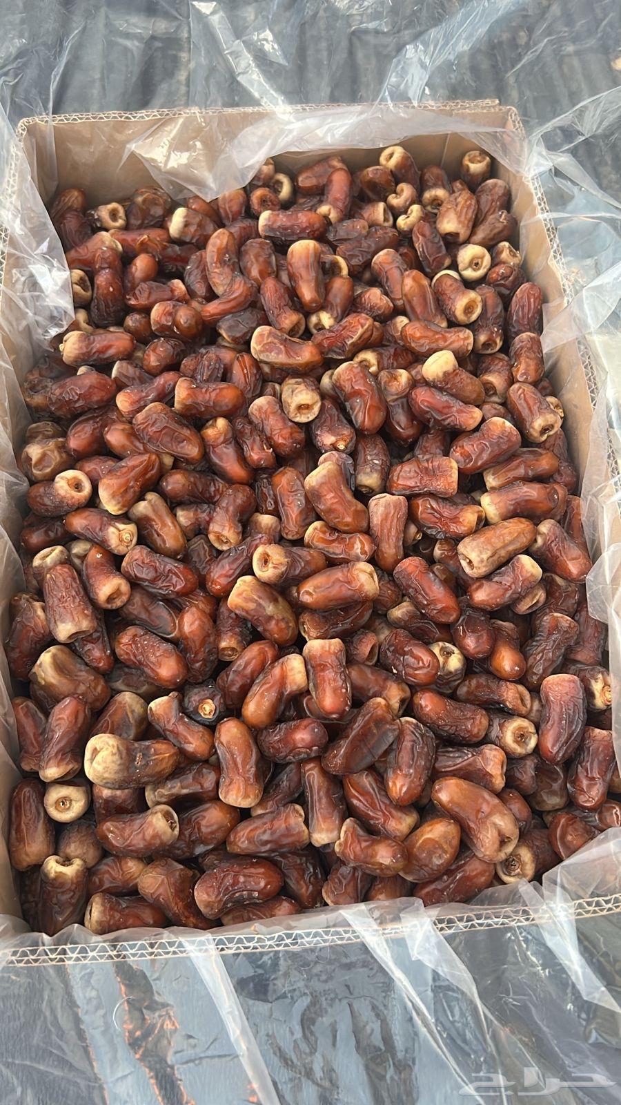 Birni Al-Ayis Dates (Sold)64411270214403111