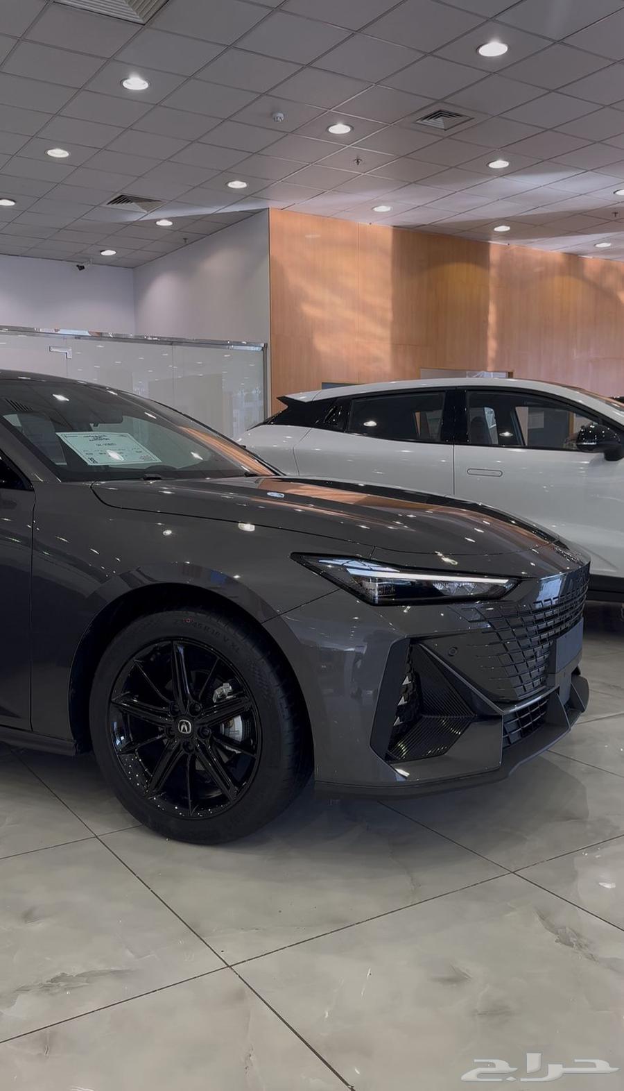 شانجان يوني في 25-26 بعروض مميزه بمناسبة اليوم الوطني64565856321282114