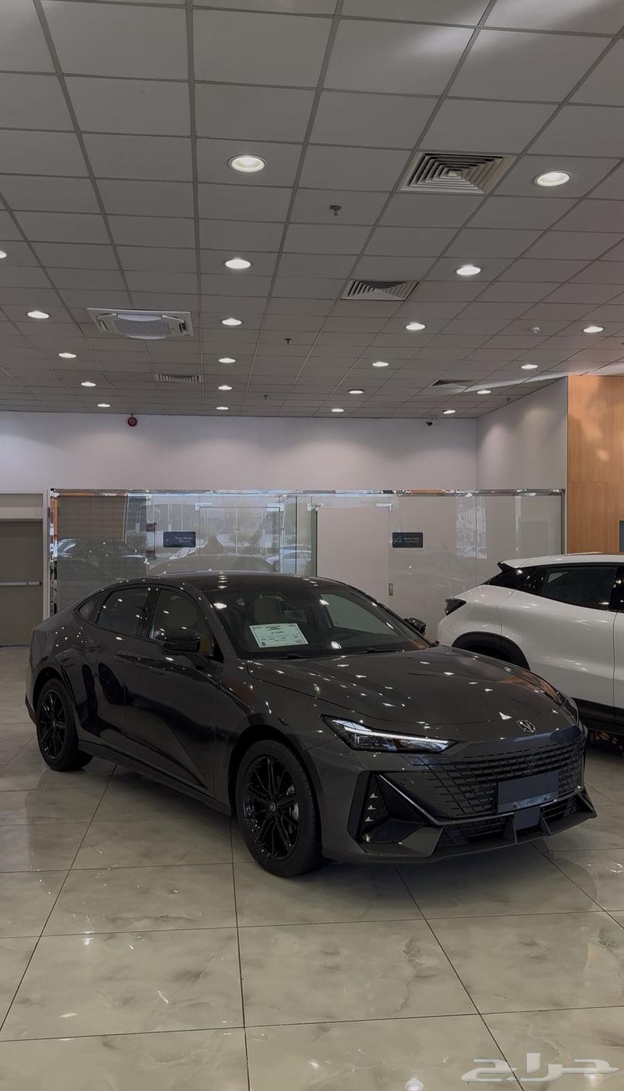 شانجان يوني في 25-26 بعروض مميزه بمناسبة اليوم الوطني64565856321282111