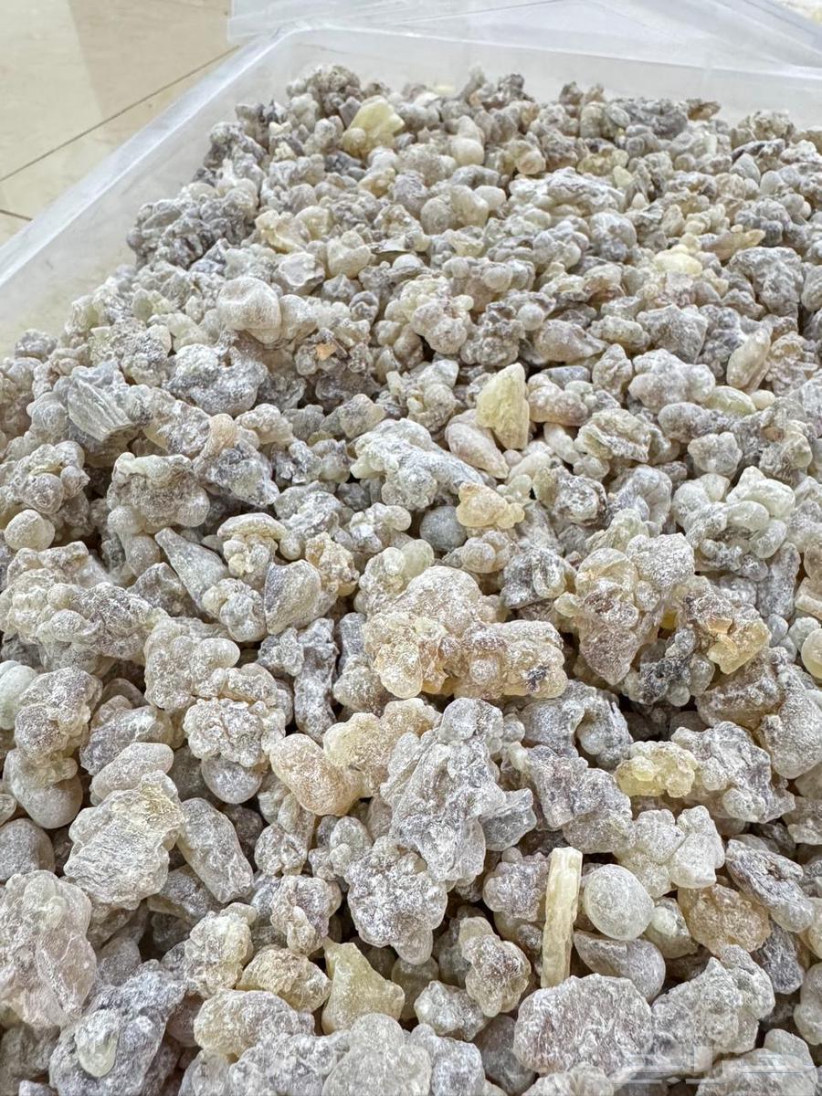 لبان حوجري جديد للبخور64405846909570110