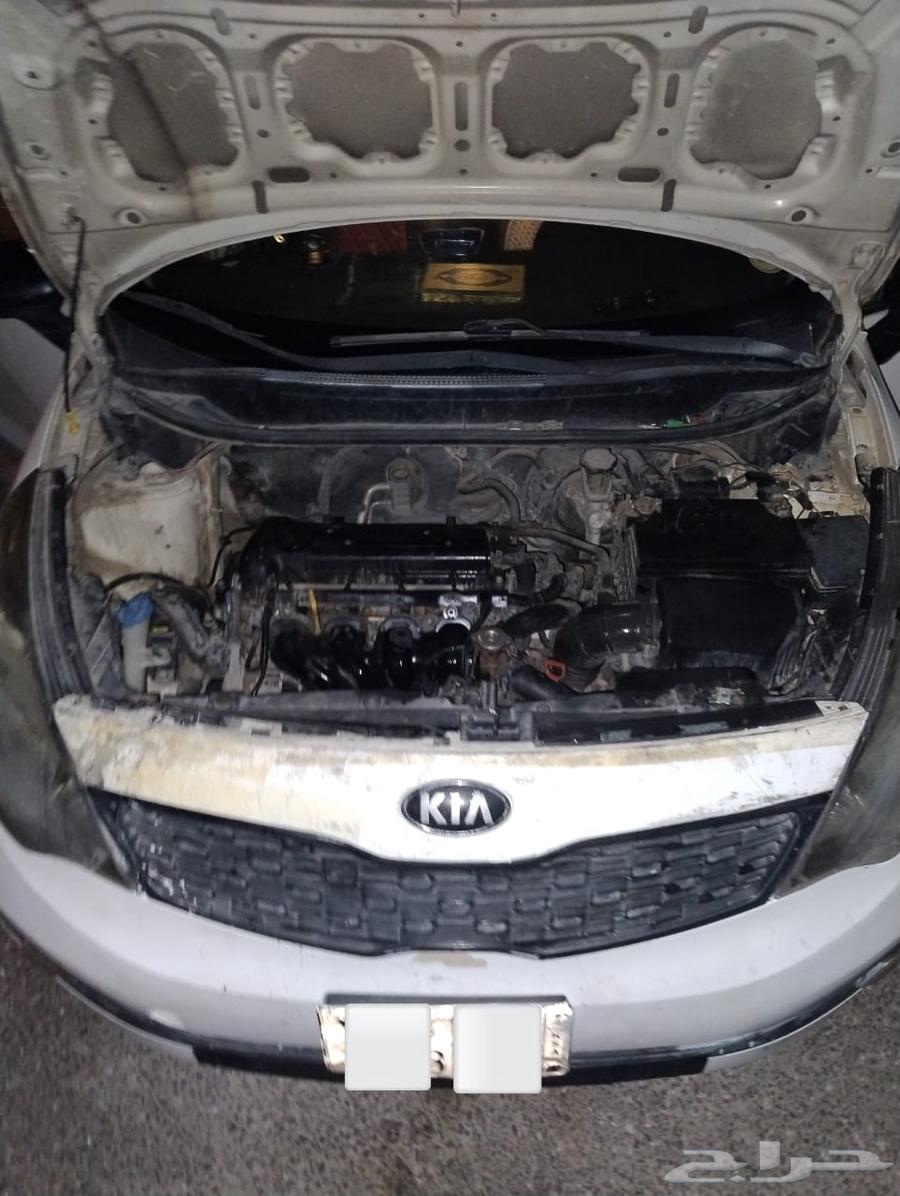 WhatsApp Communication64563729889025113