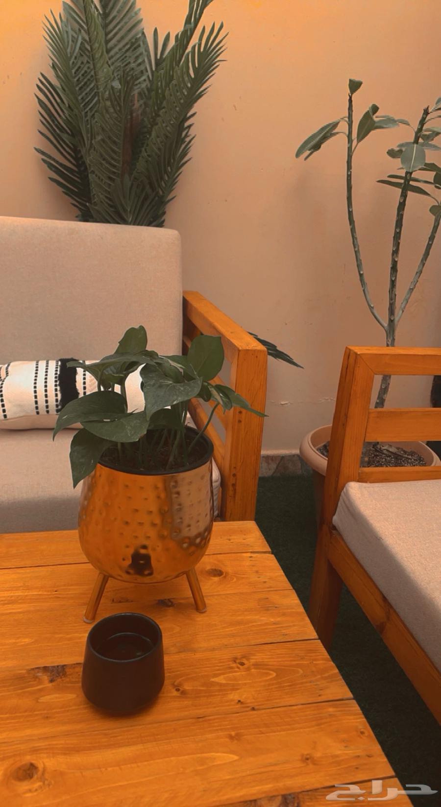 جلسه خارجيه خشب طاوله كبيره64410289934083113