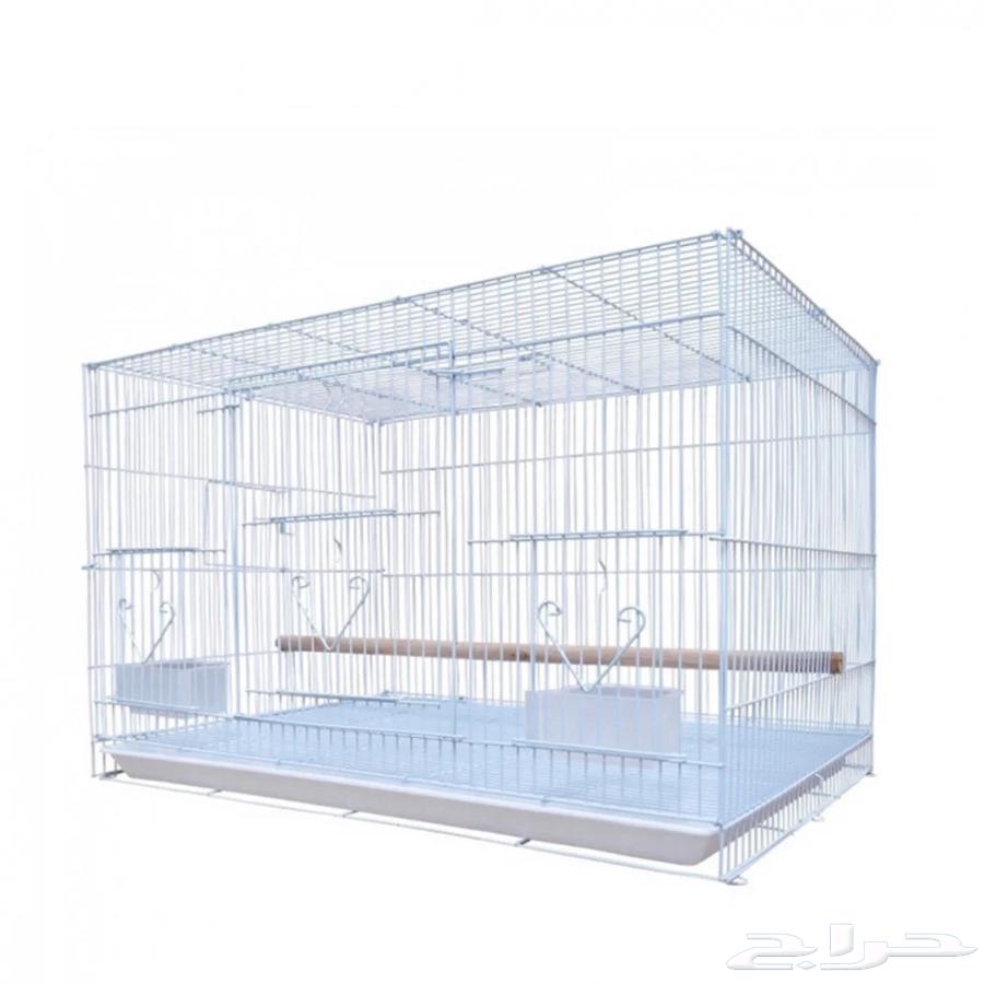 ارنب هولند لوب64413838146691113