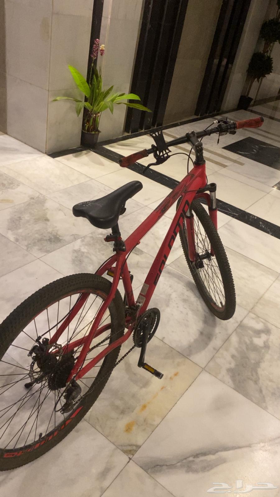 للبيبع سيكل رياضي من نوع جبلي نضيف64419105131266112