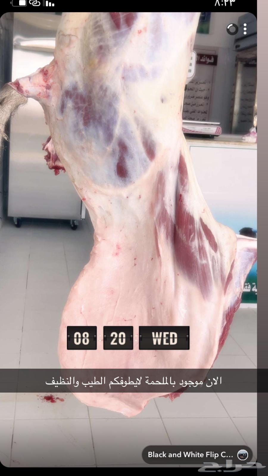 حوار لباني وبري موجود بالملحمة64413878369537111