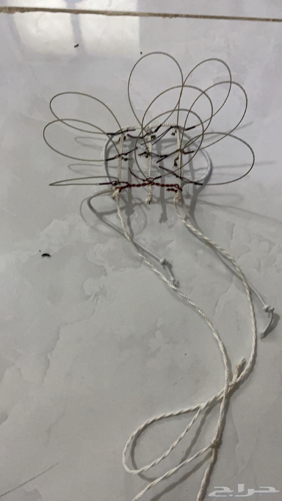 Falcon hunting net64416267770369110