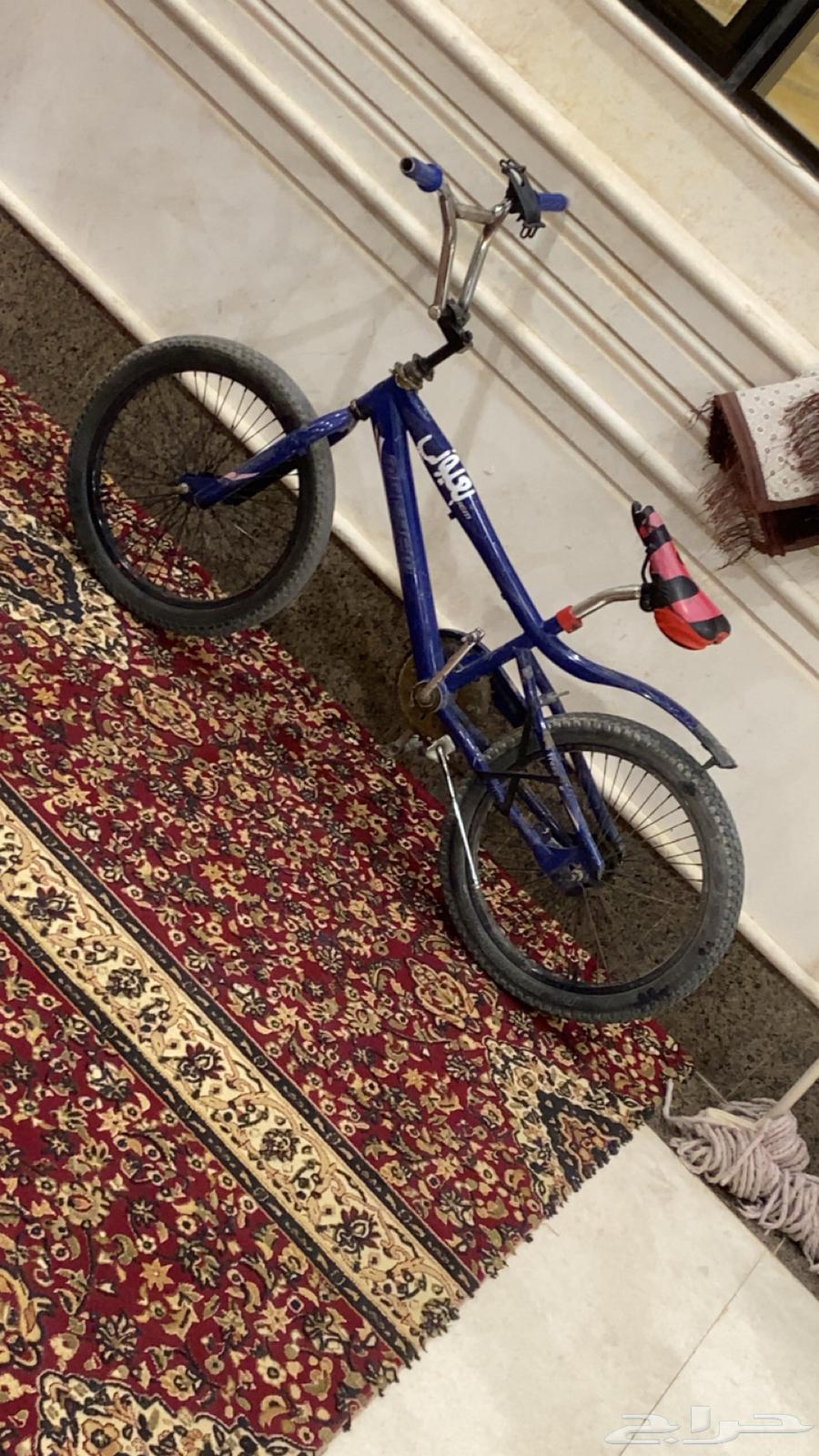 سيكل كوابر درجه اولى على السوم64418512749954110