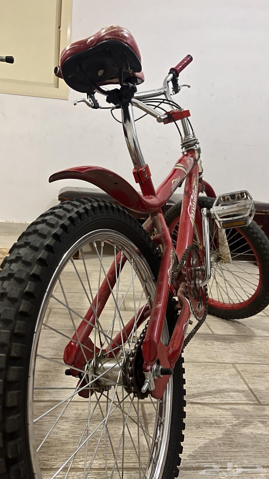 دراجة كوبرا مقاس20 السعر 25064418918077186114