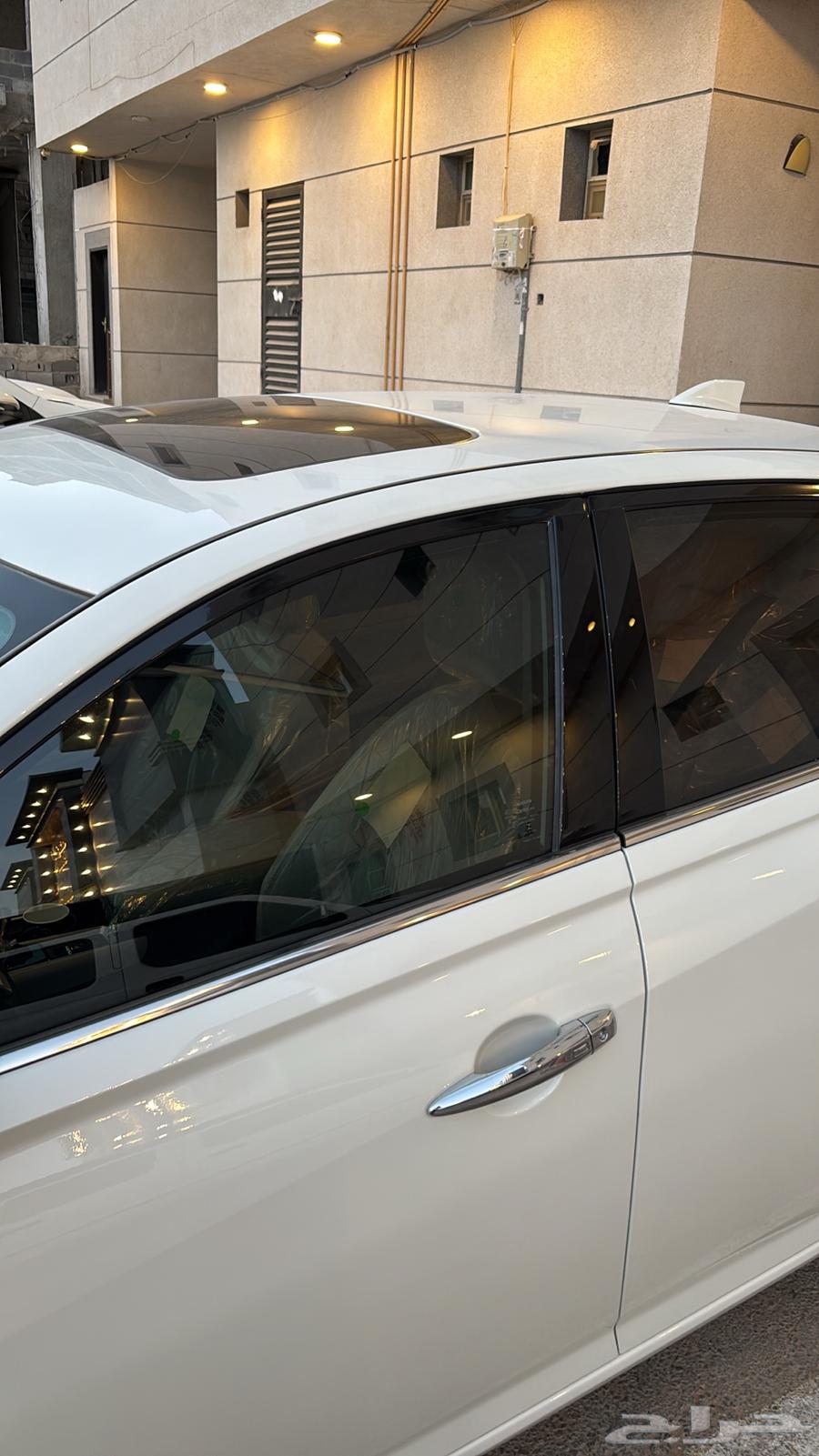 Tayma Full Text 202564576450797827110