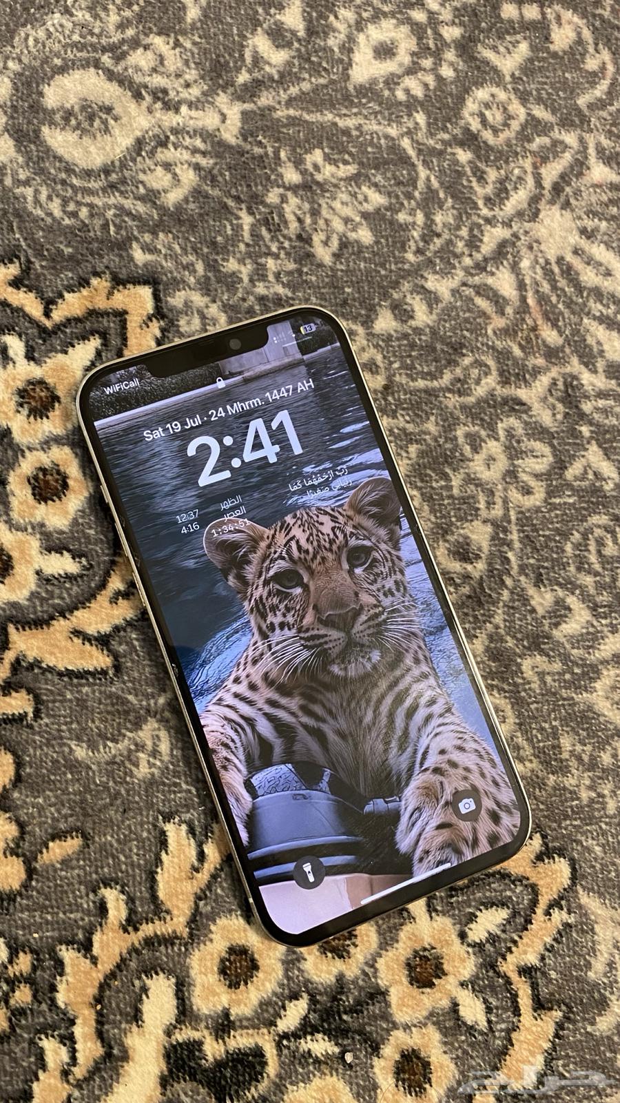 iPhone 12 Pro Max64415652904451114