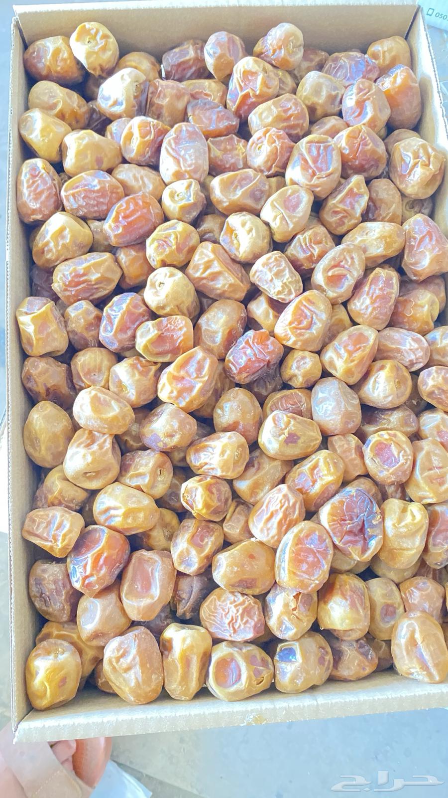 Sukkari dates and other types64414197498881112