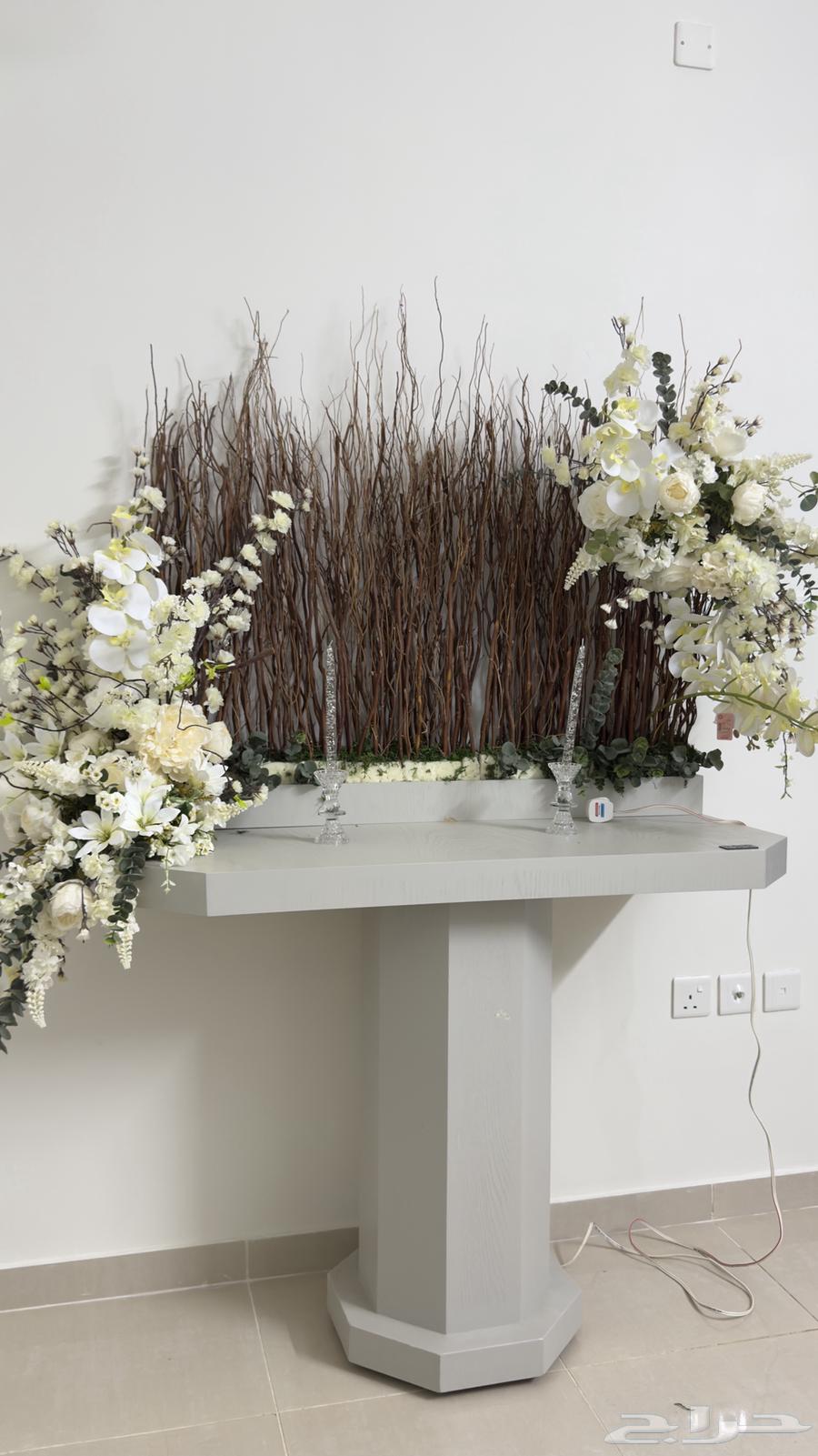 دزة (عربية ملكة ) للبيع64417142868994111