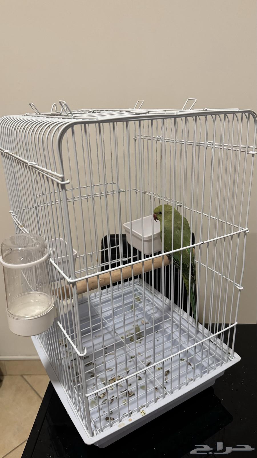 الملز - الرياض64418539747843110