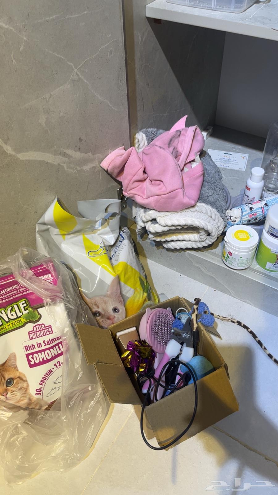 اغراض قط كامله64413732650626110