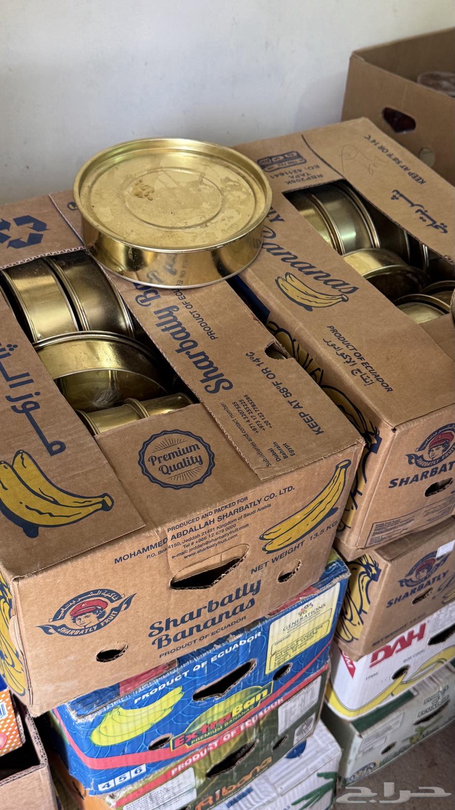 تمر صفري بيشه فاخر64414553776642112