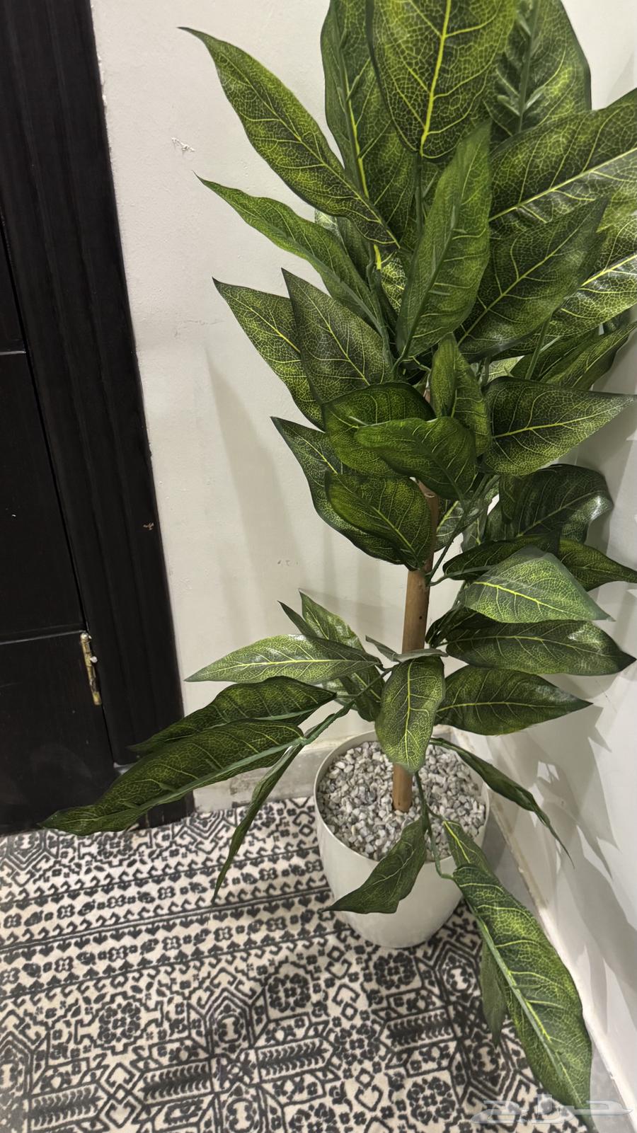 New Tree Unit 2064413453231106112