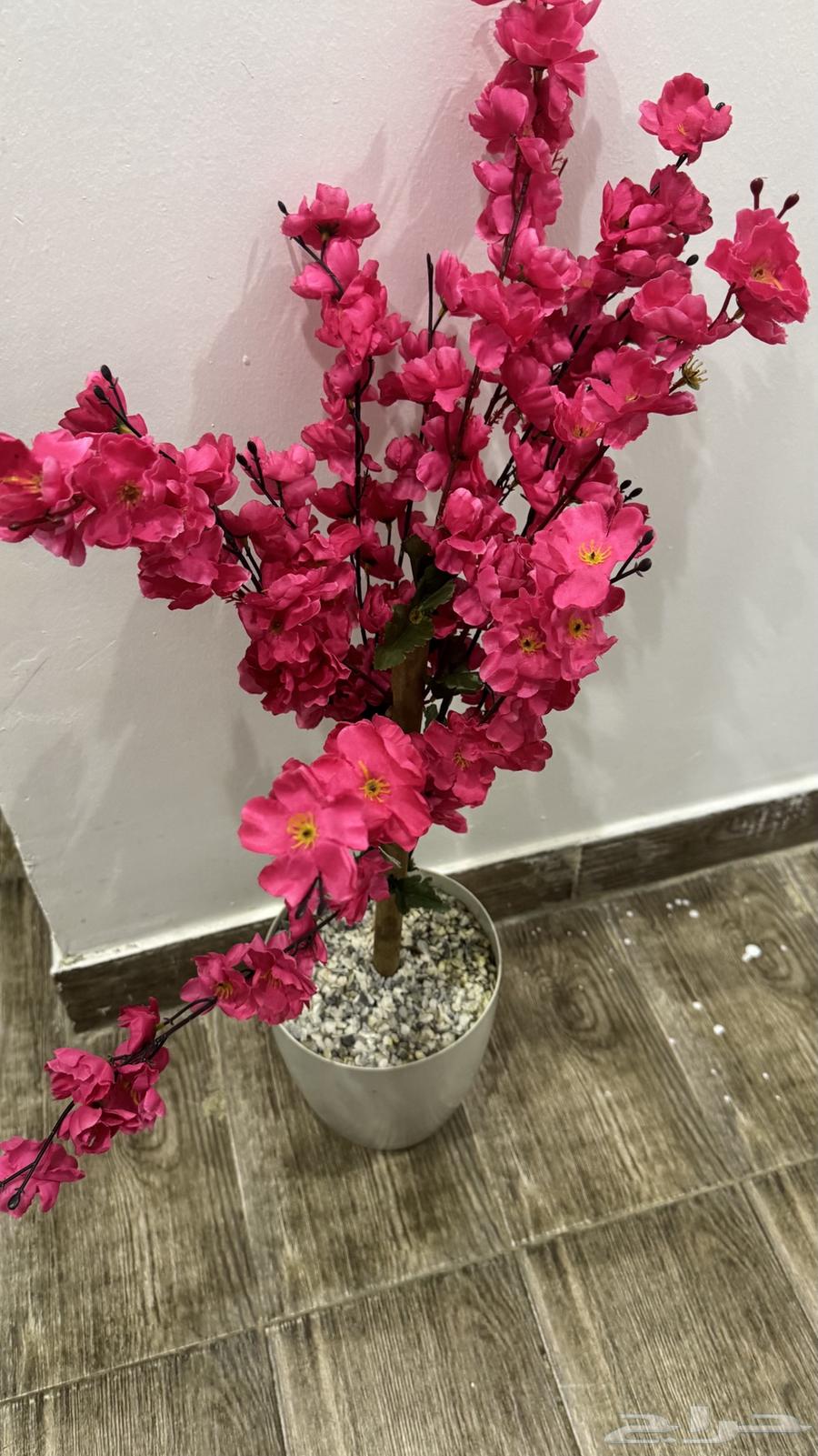 New Tree Unit 2064413453231106111