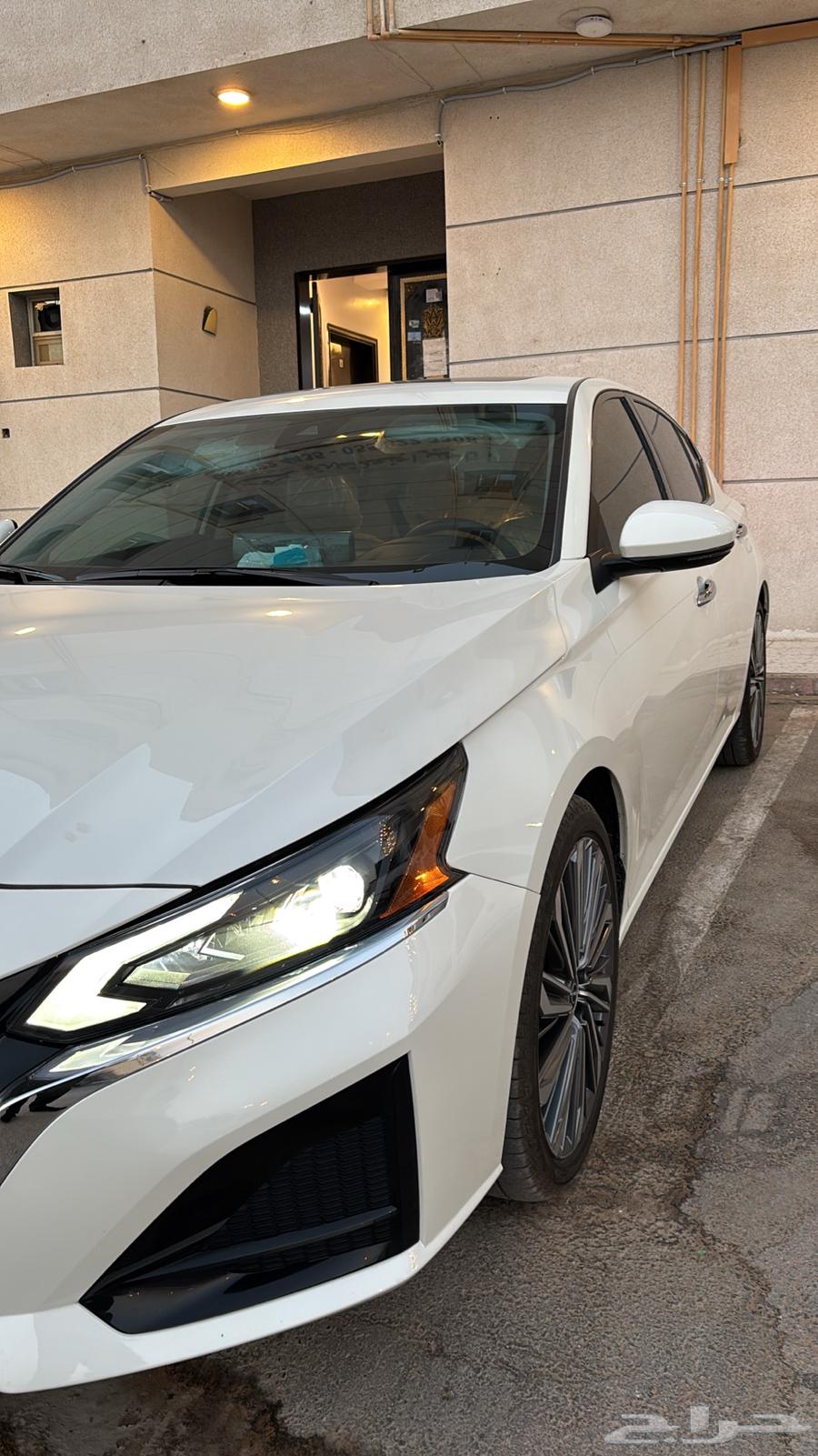 Tayma Full Text 202564576450797827111