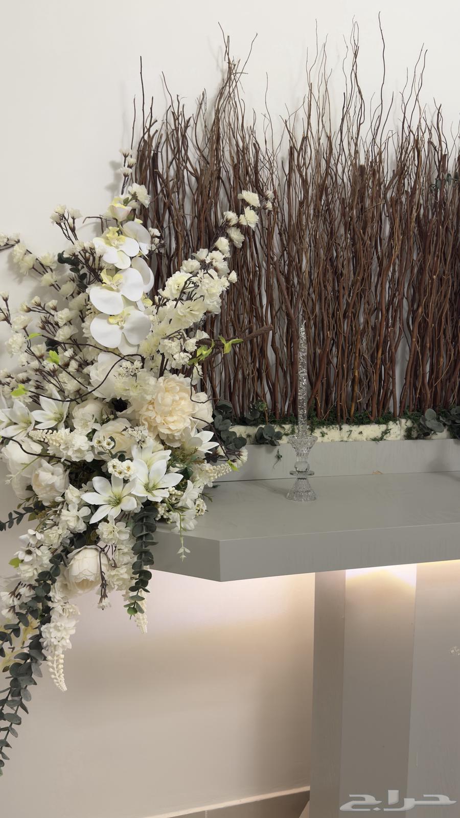 دزة (عربية ملكة ) للبيع64417142868994110