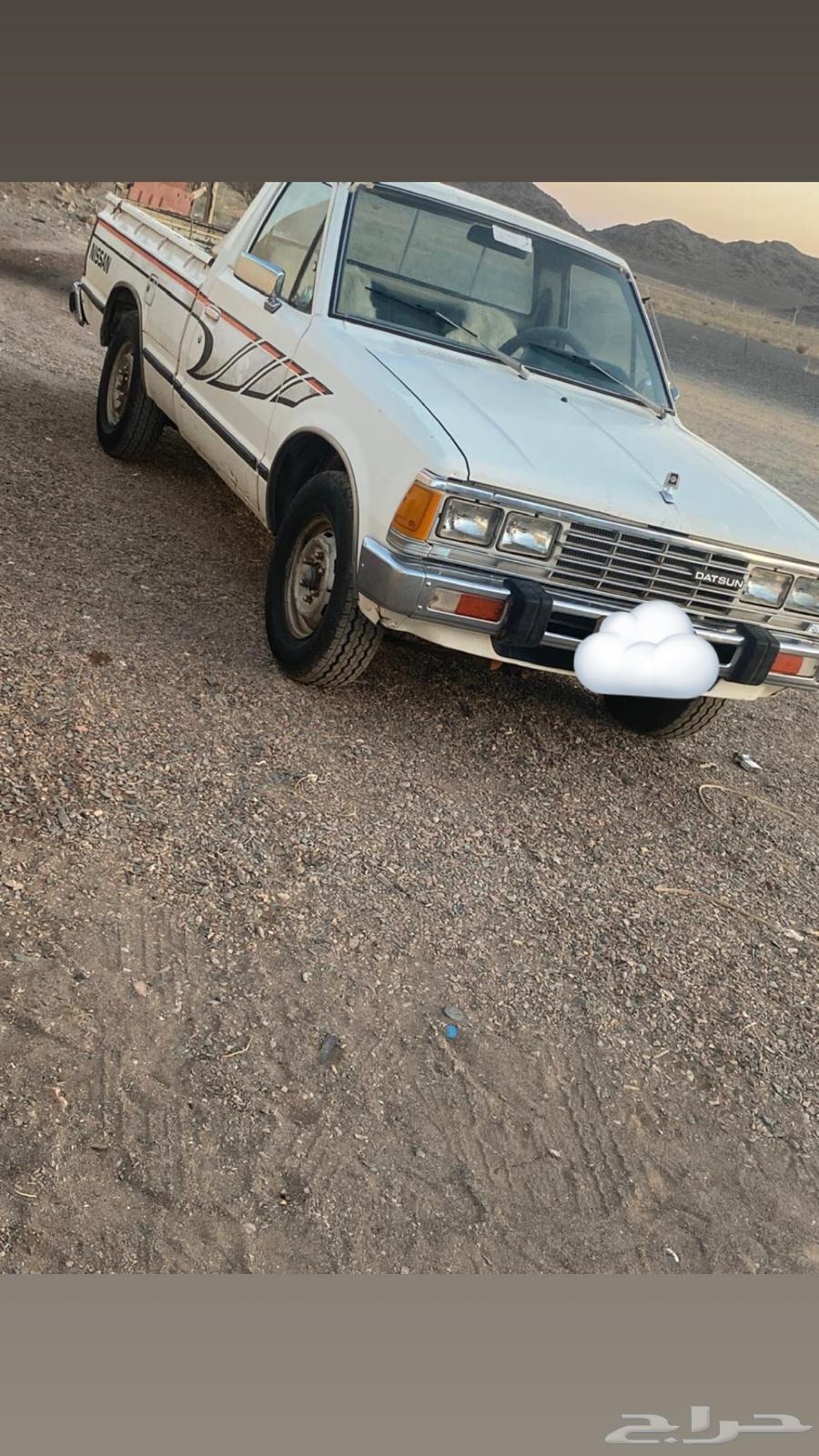 ددسن 84 نضيف جدآ الصامل يتواصل اتصال فقط64569916694273110