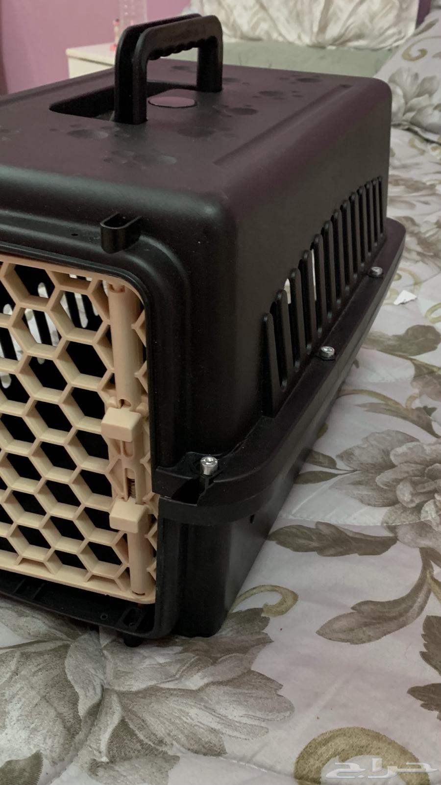 عفصور روز وصندوق قطة64413287416707110