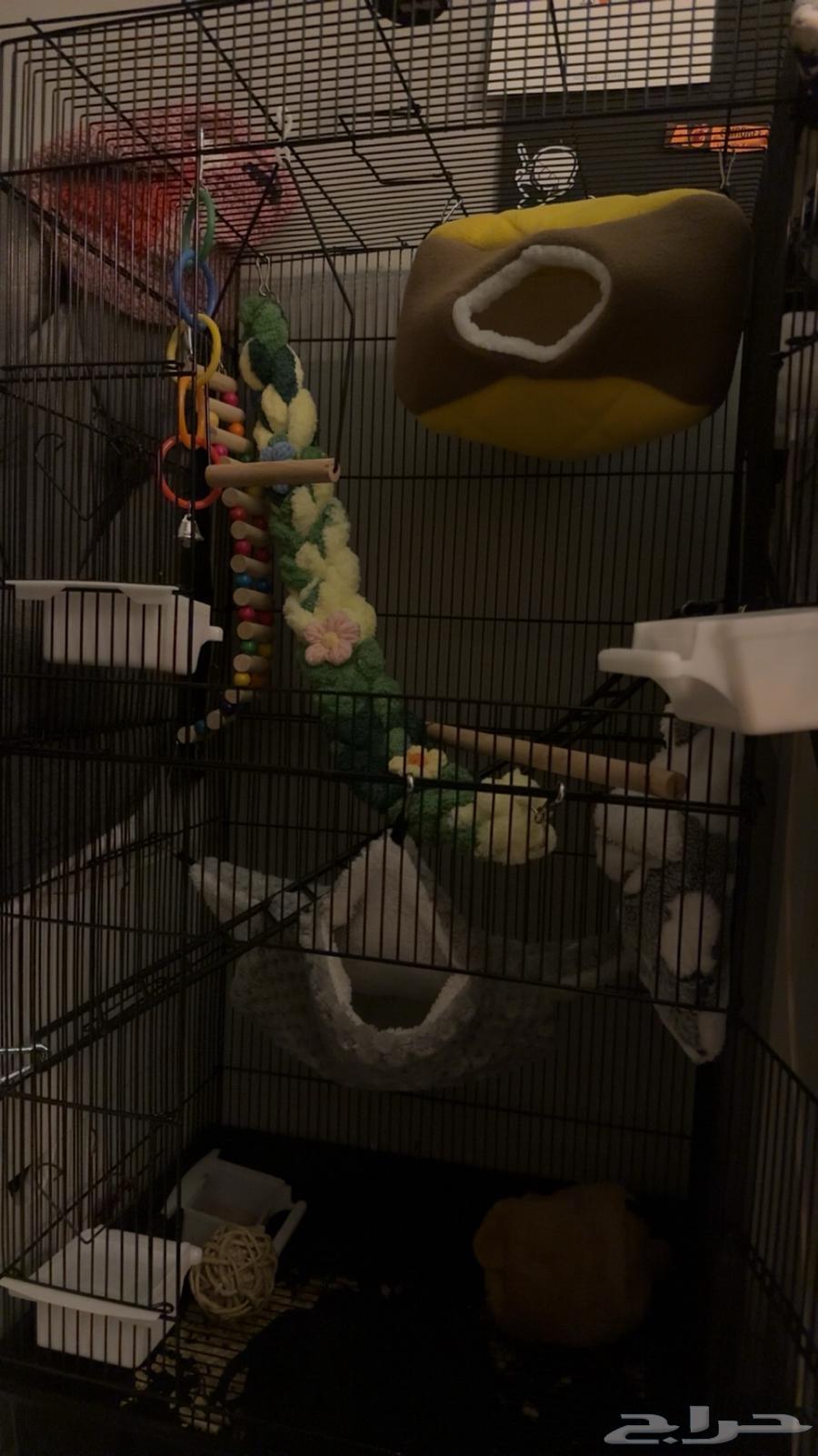 A large cage set for sugar gliders, suitable for birds64412415013633112