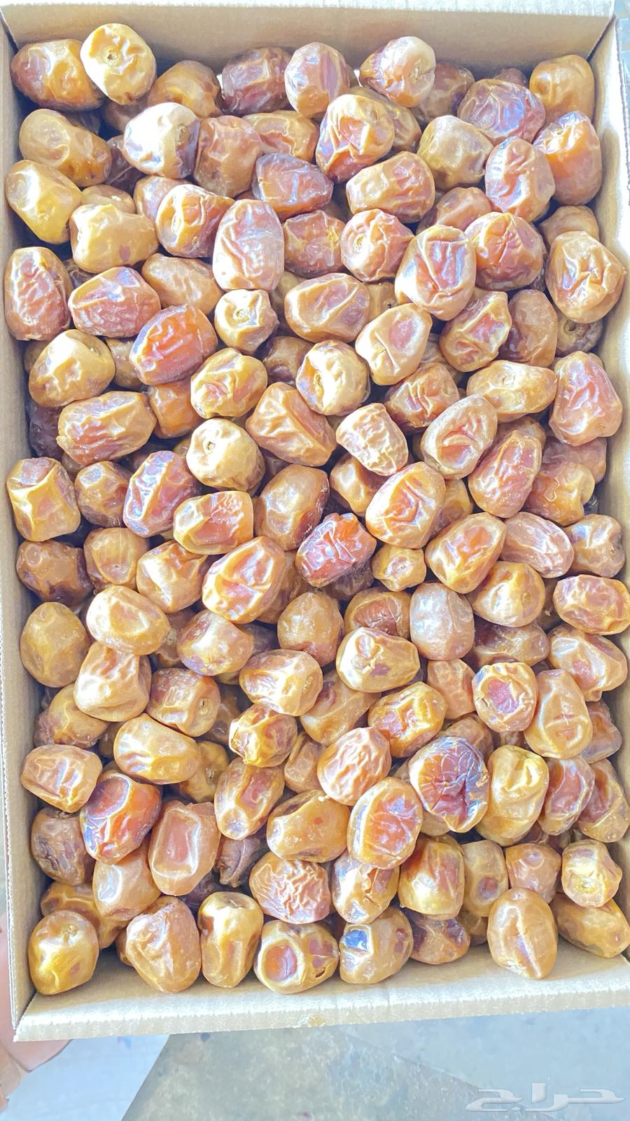 Sukkari dates and other types64414197498881110