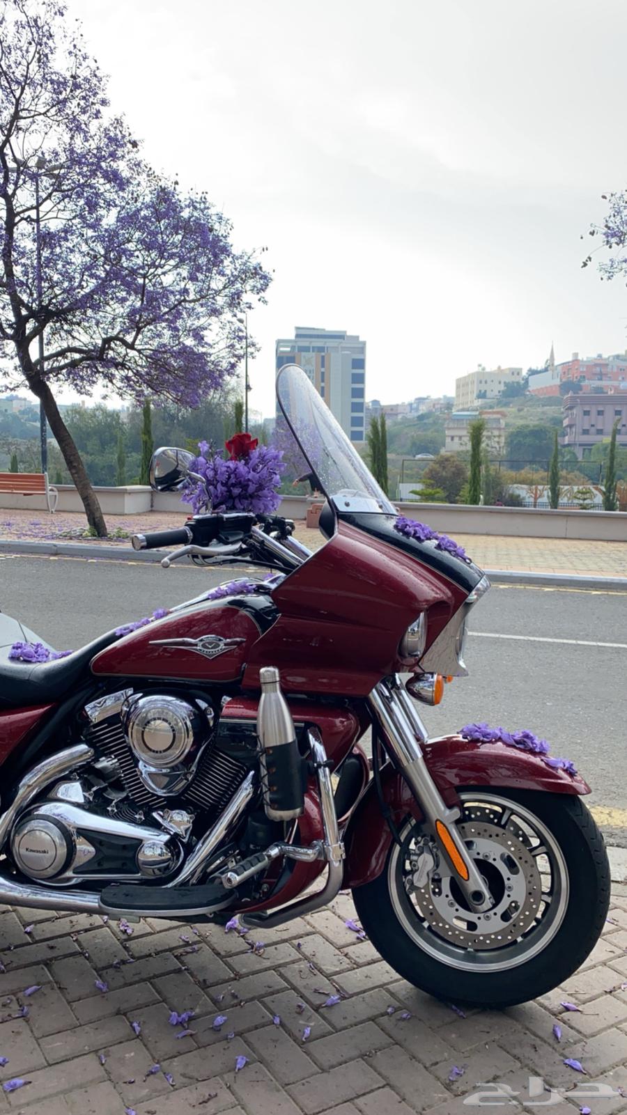 دباب64589500856067112