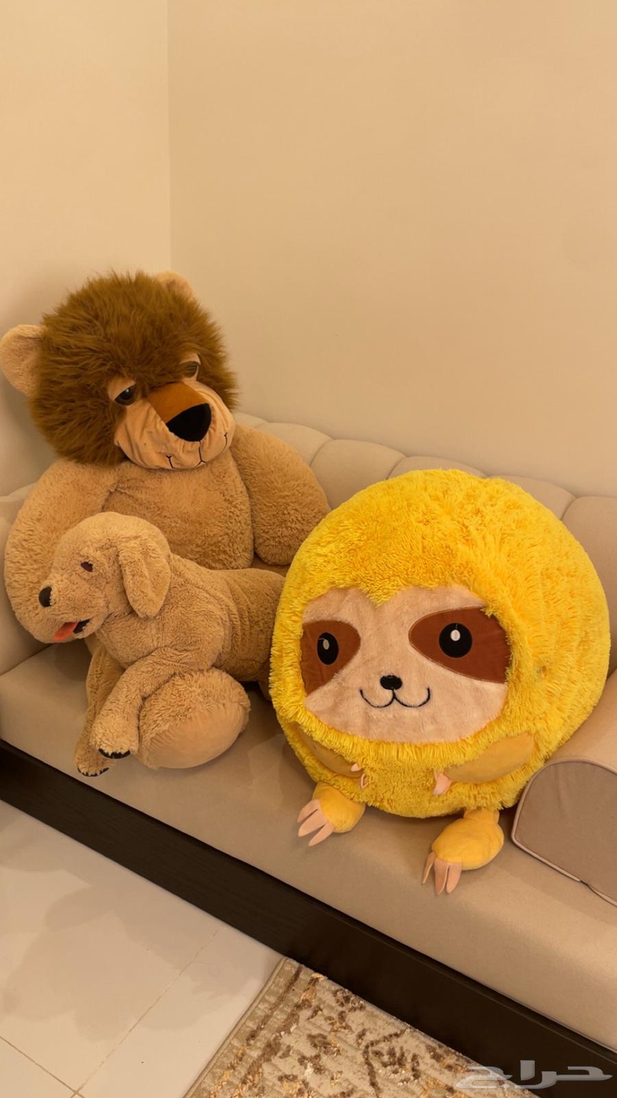 دميه عدد 3ب10064415585804547110