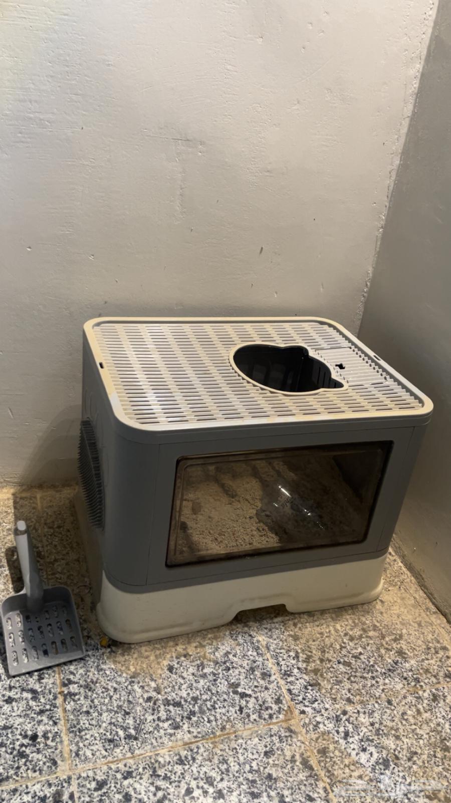 اغراض قط كامله64413732650626111