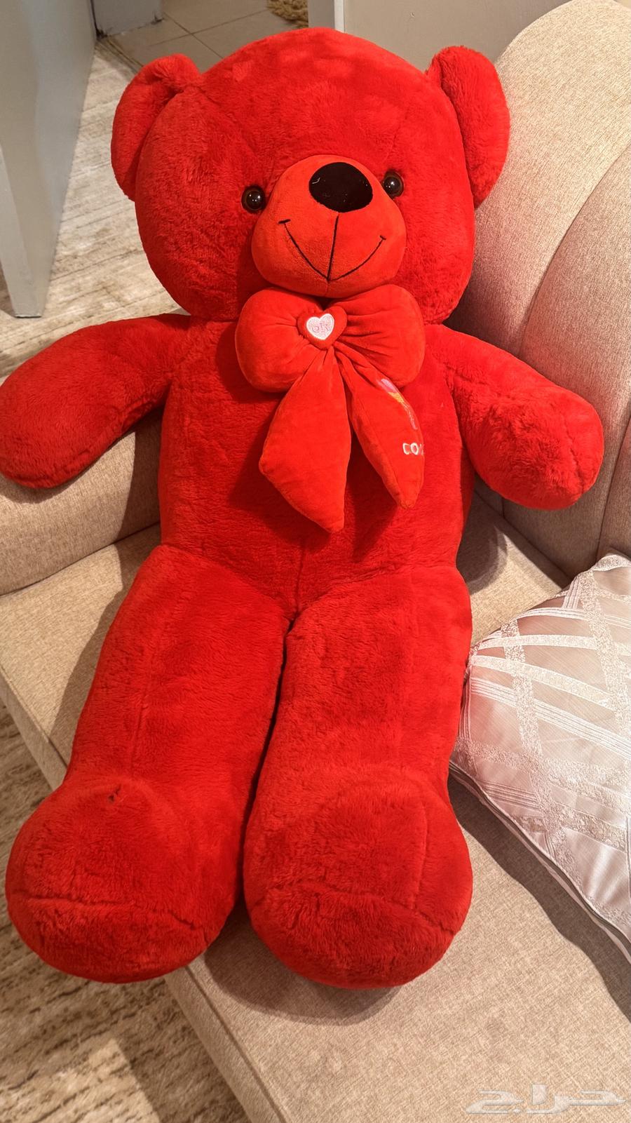 دبدوب شبه جديد64418998476417110