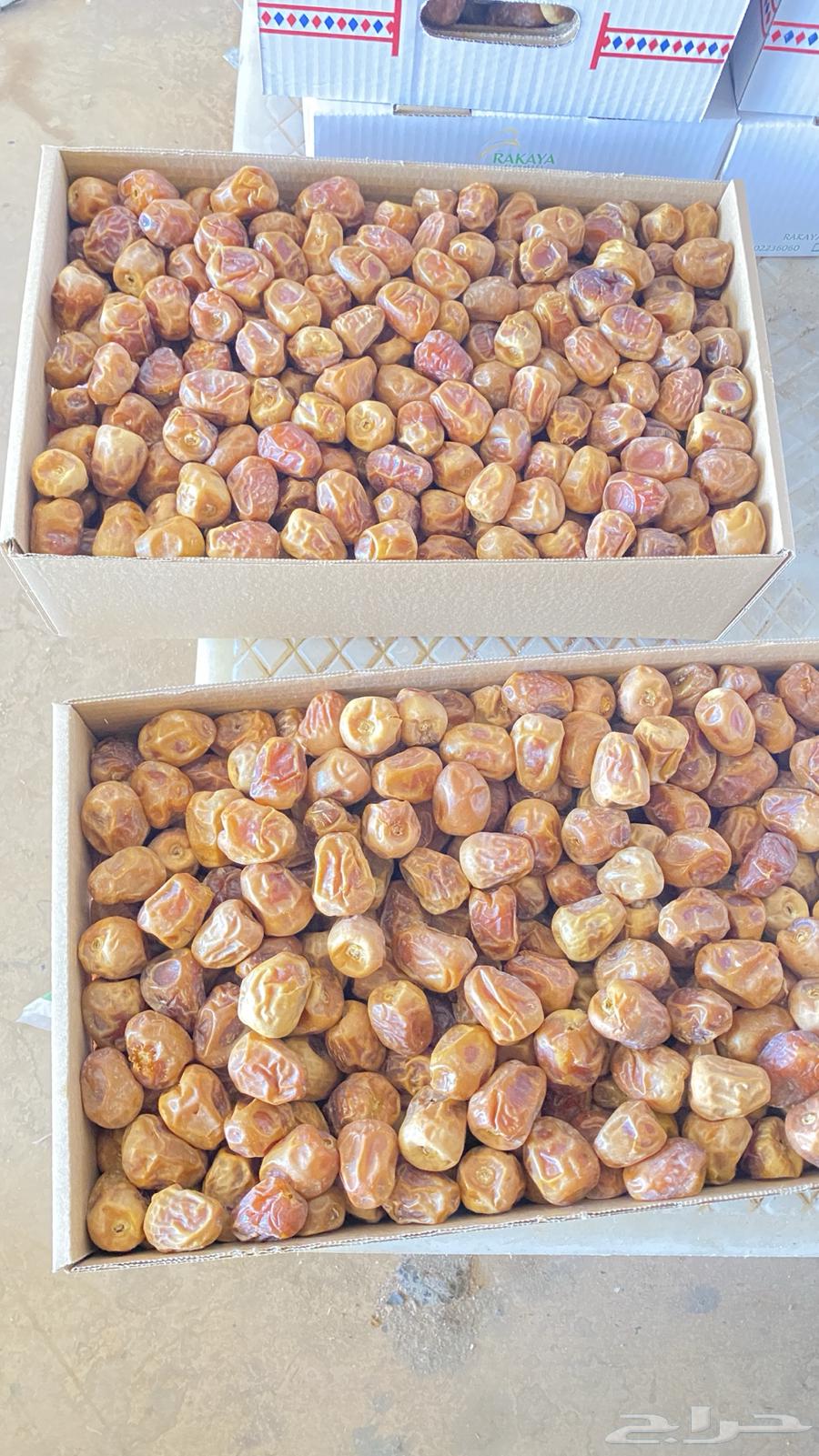 Sukkari dates and other types64414197498881111