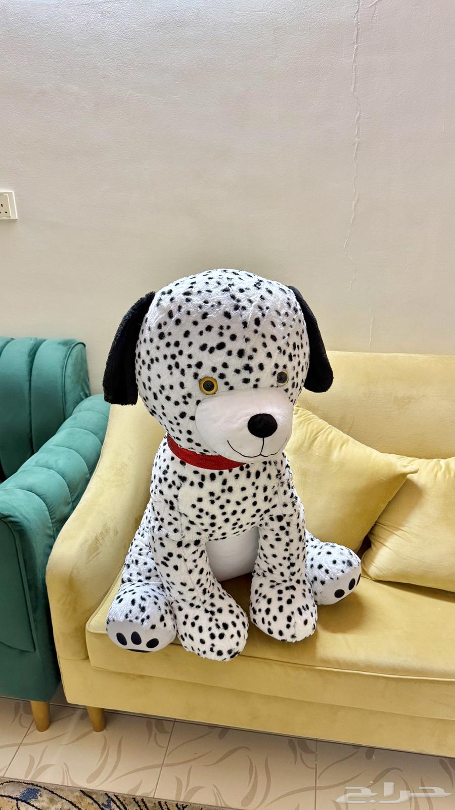 دميه للبيع الطايف للتواصل64418295879426110