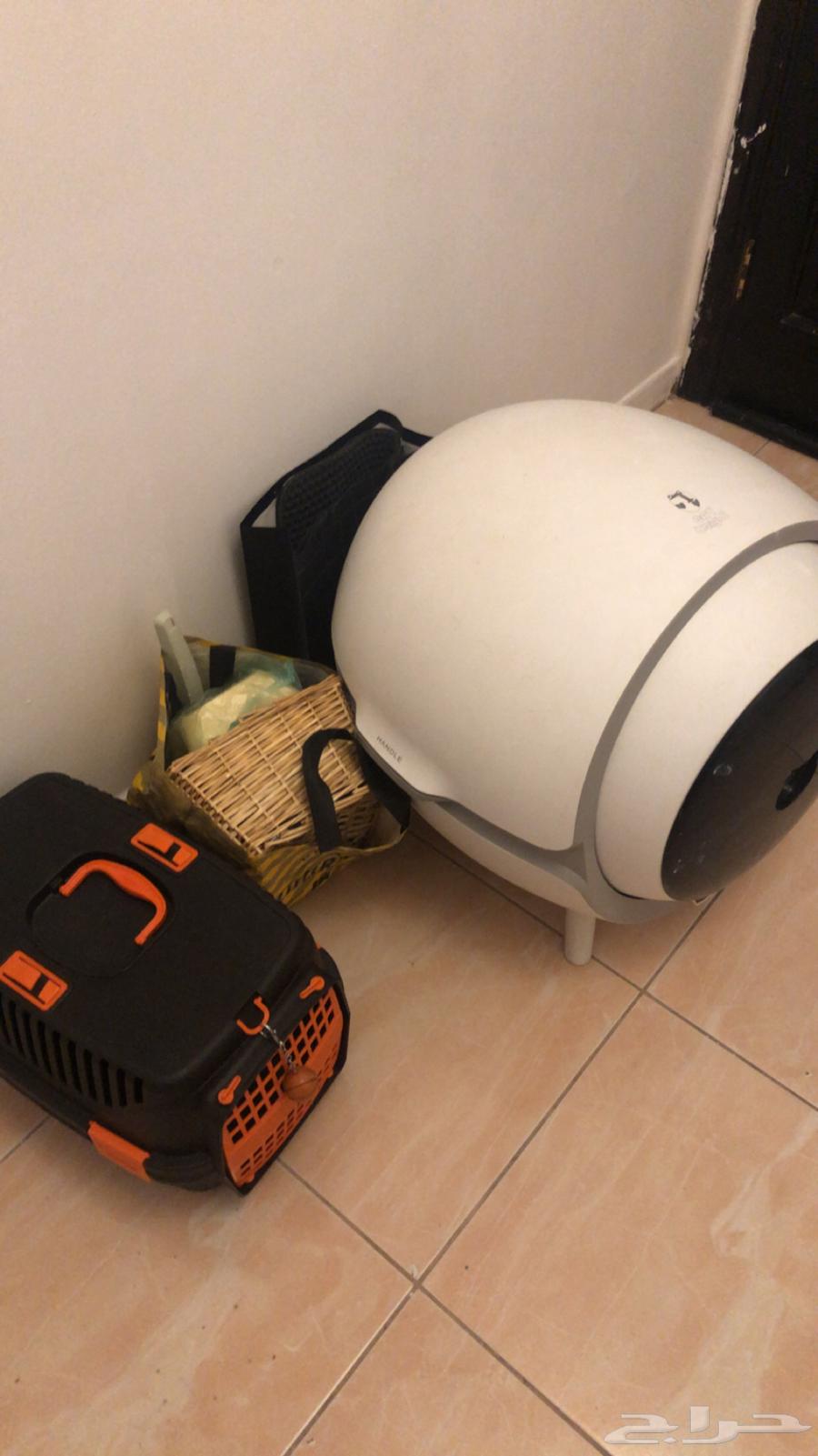 قطه مع اغراضها لي بيع64414980762114113