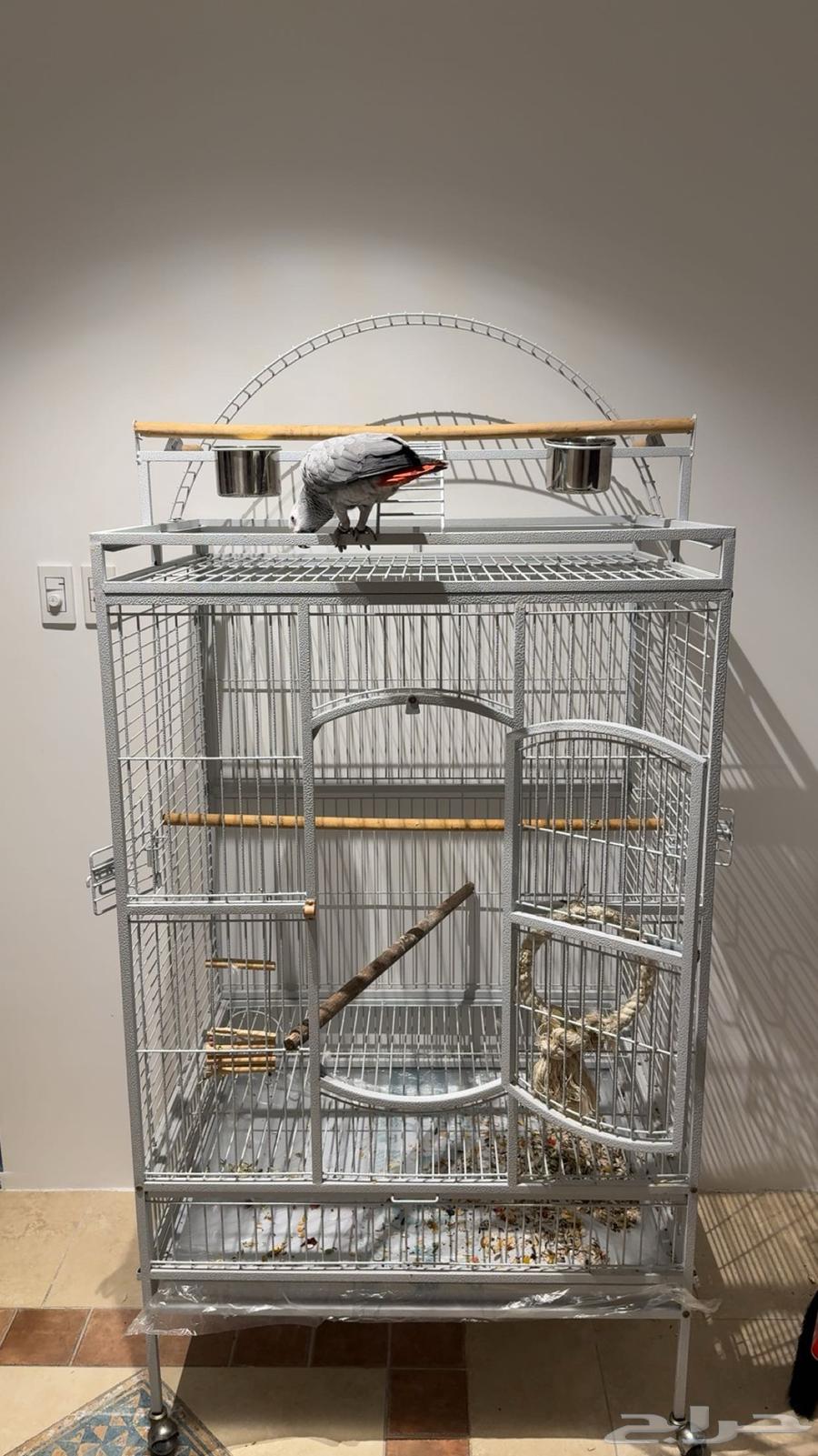 قفص كبير للطيور الكبيره القفص جديد استخدام شهر64419145073411110