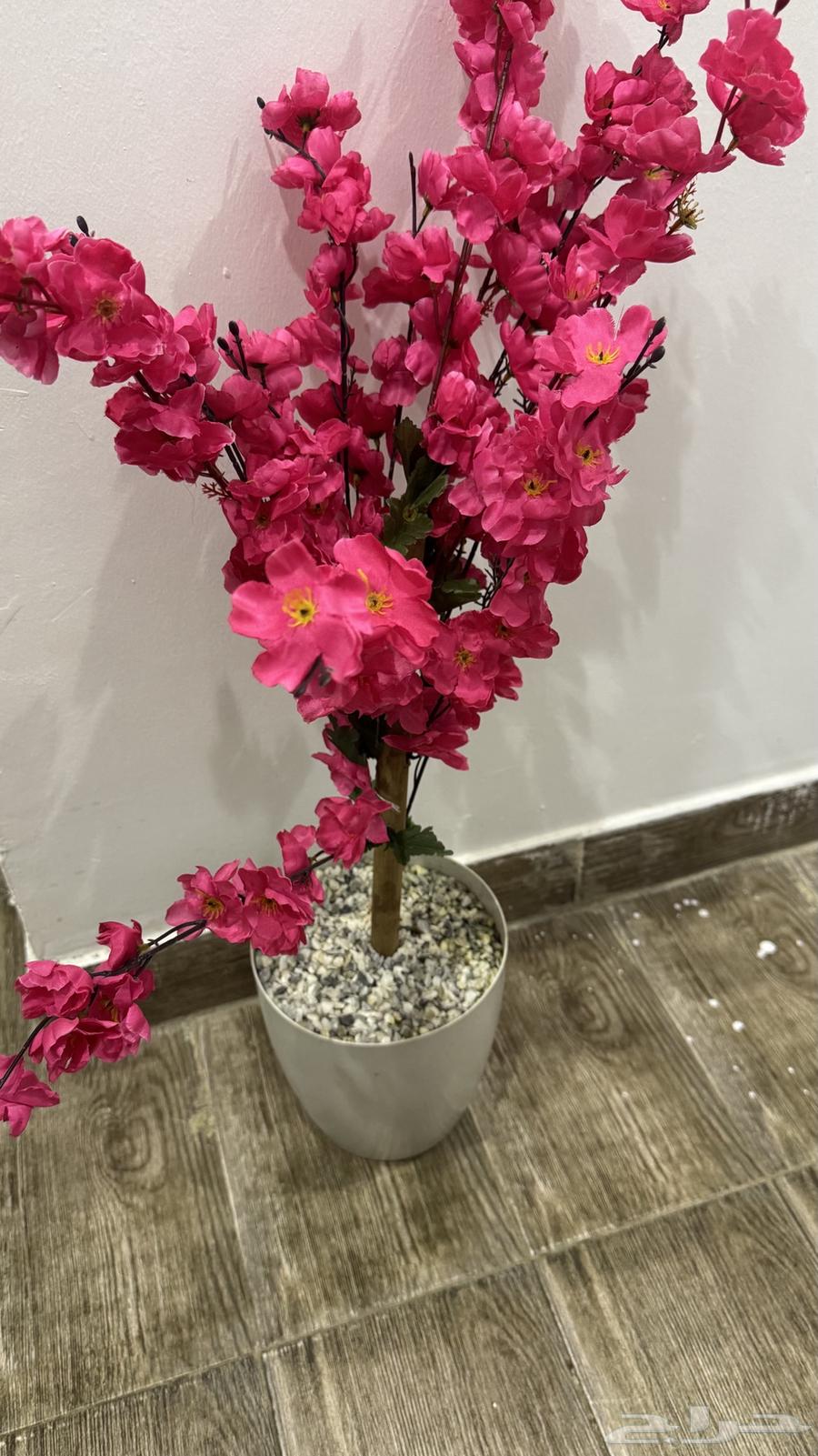 New Tree Unit 2064413453231106110