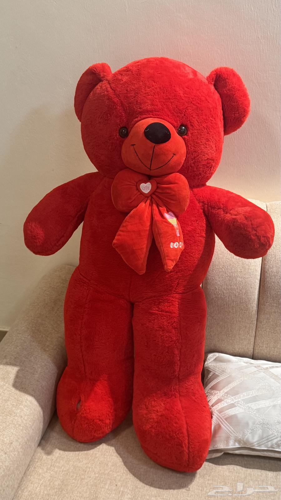 دبدوب شبه جديد64418998476417111