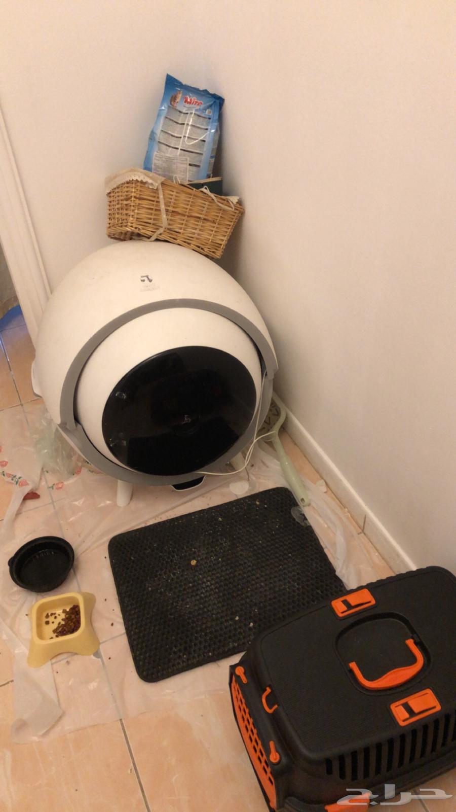 قطه مع اغراضها لي بيع64414980762114112