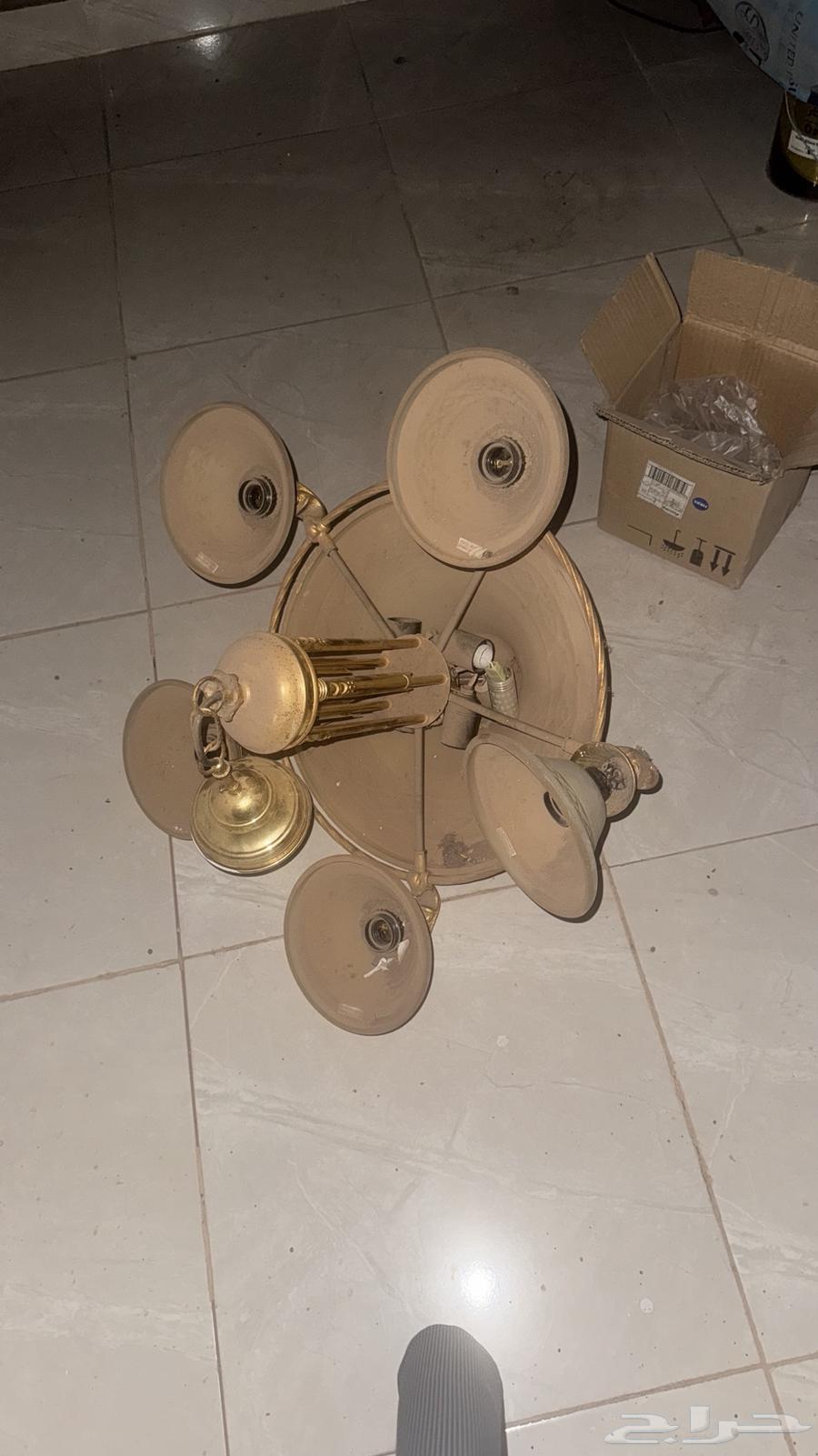 ثريه نظيفه64418661973250110