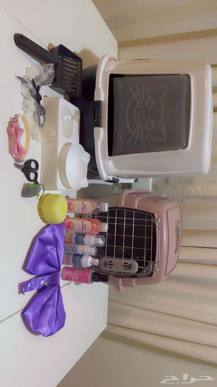 Cats64413220884227110